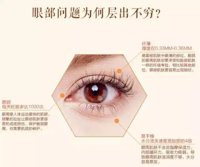 1669087589841361.jpg s.jpg