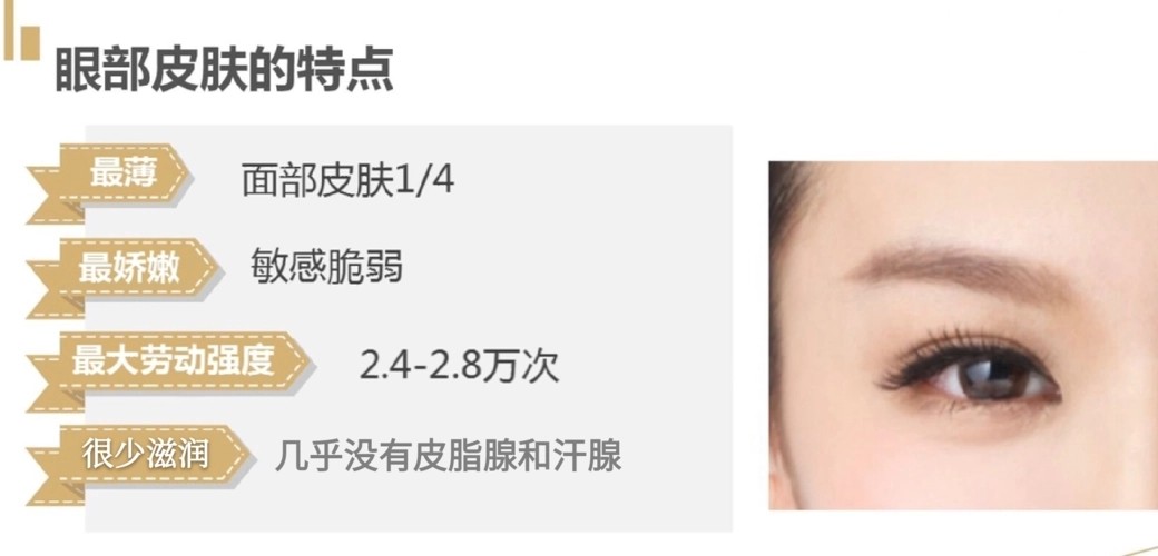 u=3940313955,2375020047&fm=253&fmt=auto&app=138&f=PNG.webp_副本.jpg