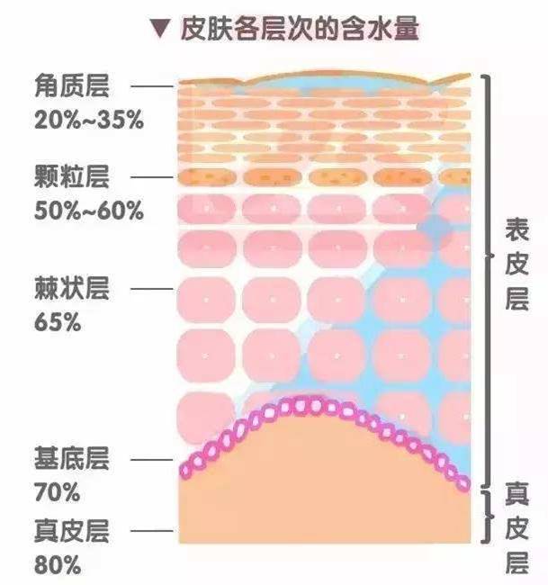 1664870302770644.jpg 99片1.jpg